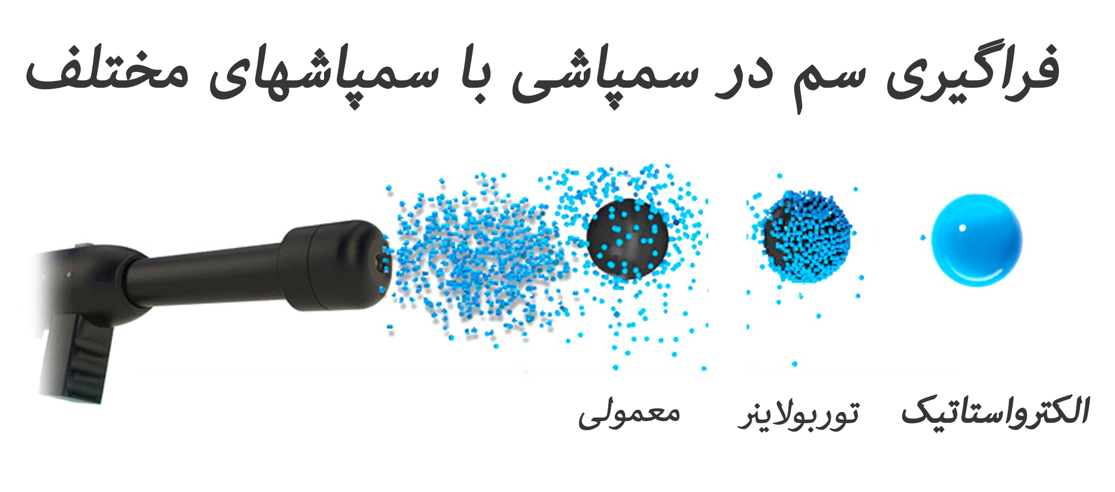 sampash 02